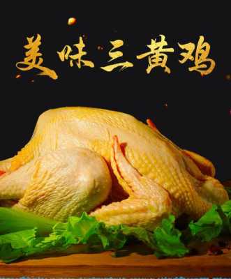 三黄鸡哪里的好(三黄鸡哪里的好吃)-第1张图片-厨房小当家 三黄鸡哪里的好(三黄鸡哪里的好吃)-第1张图片-厨房小当家