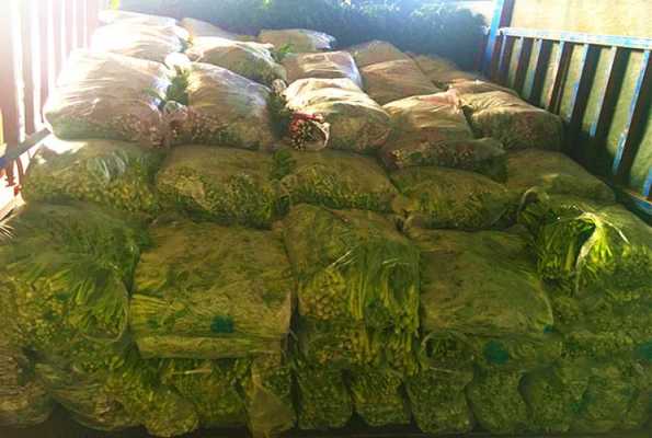 怎么样才能把菜推销出去(怎么样才能把菜推销出去呢)-第1张图片-厨房小当家 怎么样才能把菜推销出去(怎么样才能把菜推销出去呢)-第1张图片-厨房小当家