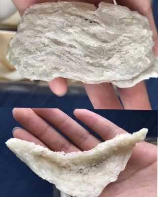 石燕窝生在在哪里(怀集十大特产)-第3张图片-厨房小当家 石燕窝生在在哪里(怀集十大特产)-第3张图片-厨房小当家