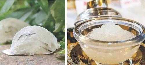 石燕窝生在在哪里(怀集十大特产)-第2张图片-厨房小当家 石燕窝生在在哪里(怀集十大特产)-第2张图片-厨房小当家