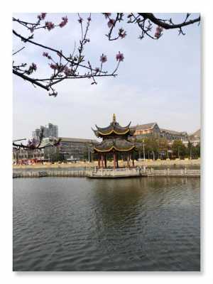 江苏南通小吃,南通甜包瓜哪里批发便宜-第2张图片-厨房小当家 江苏南通小吃,南通甜包瓜哪里批发便宜-第2张图片-厨房小当家