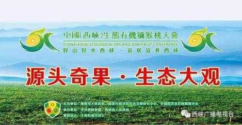 西峡哪里有猕猴桃(西峡猕猴桃文案)-第1张图片-厨房小当家 西峡哪里有猕猴桃(西峡猕猴桃文案)-第1张图片-厨房小当家