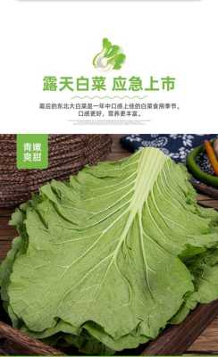 饭包的菜叶是什么叶子,饭包菜叶哪里有卖的-第2张图片-厨房小当家 饭包的菜叶是什么叶子,饭包菜叶哪里有卖的-第2张图片-厨房小当家