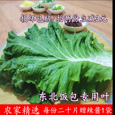 饭包的菜叶是什么叶子,饭包菜叶哪里有卖的-第3张图片-厨房小当家 饭包的菜叶是什么叶子,饭包菜叶哪里有卖的-第3张图片-厨房小当家