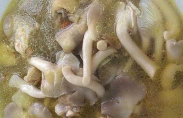 肉片汤用哪里的肉(煲瘦肉汤哪个地方的肉好)-第1张图片-厨房小当家 肉片汤用哪里的肉(煲瘦肉汤哪个地方的肉好)-第1张图片-厨房小当家