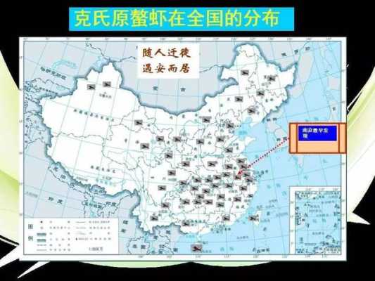 小龙虾主要分布在我国什么地区,我国小龙虾主要产地分布-第2张图片-厨房小当家 小龙虾主要分布在我国什么地区,我国小龙虾主要产地分布-第2张图片-厨房小当家