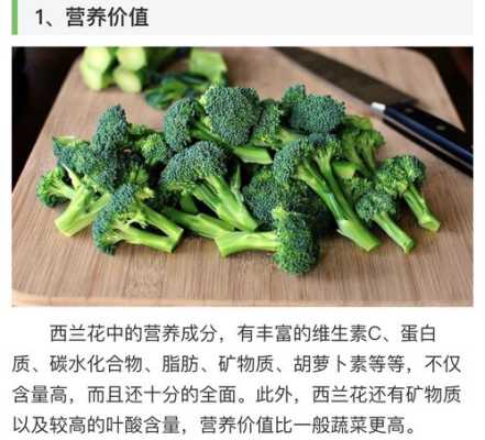 西兰花哪里最有营养(西兰花哪个部位可以吃)-第2张图片-厨房小当家 西兰花哪里最有营养(西兰花哪个部位可以吃)-第2张图片-厨房小当家