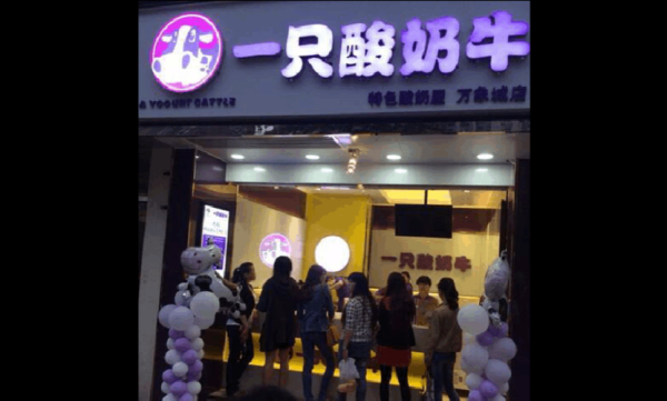 加盟一支酸奶牛怎么样(加盟一支酸奶牛怎么样赚钱)-第2张图片-厨房小当家 加盟一支酸奶牛怎么样(加盟一支酸奶牛怎么样赚钱)-第2张图片-厨房小当家