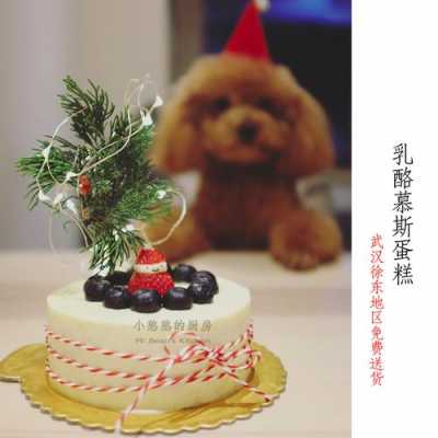 动物奶油蛋糕和慕斯蛋糕区别,去哪里学做宠物蛋糕好-第3张图片-厨房小当家