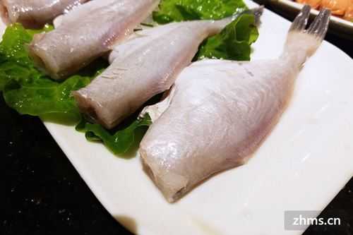 耗儿鱼是哪里的鱼(耗儿鱼是哪里的鱼是深海淡水鱼还是海水鱼)-第2张图片-厨房小当家 耗儿鱼是哪里的鱼(耗儿鱼是哪里的鱼是深海淡水鱼还是海水鱼)-第2张图片-厨房小当家