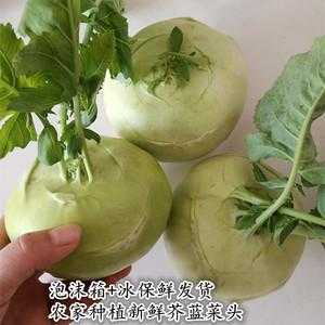 大头菜是哪里的特产(中国大头菜之乡)-第1张图片-厨房小当家 大头菜是哪里的特产(中国大头菜之乡)-第1张图片-厨房小当家