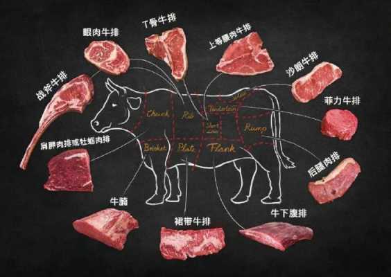 做牛排选哪个部位的肉最好,做牛排哪里的肉最好吃呢-第2张图片-厨房小当家 做牛排选哪个部位的肉最好,做牛排哪里的肉最好吃呢-第2张图片-厨房小当家