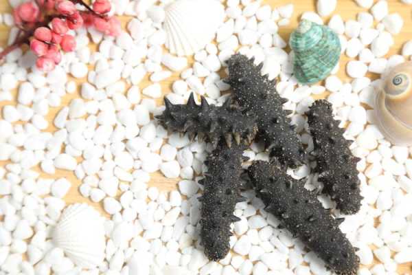 海参内膜要去掉吗,袋装海参丝哪里有买的啊-第1张图片-厨房小当家 海参内膜要去掉吗,袋装海参丝哪里有买的啊-第1张图片-厨房小当家