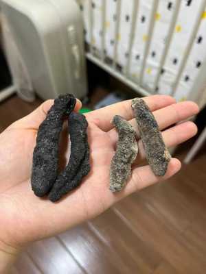 海参内膜要去掉吗,袋装海参丝哪里有买的啊-第3张图片-厨房小当家 海参内膜要去掉吗,袋装海参丝哪里有买的啊-第3张图片-厨房小当家
