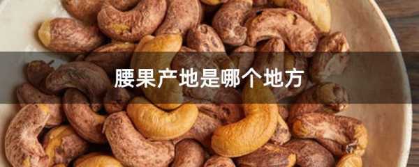 腰果产地,腰果产地在什么地方-第2张图片-厨房小当家 腰果产地,腰果产地在什么地方-第2张图片-厨房小当家