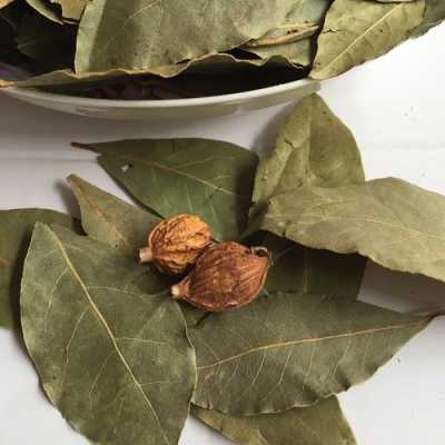 香叶哪里种的比较香(香叶是君料还是臣料)-第1张图片-厨房小当家 香叶哪里种的比较香(香叶是君料还是臣料)-第1张图片-厨房小当家