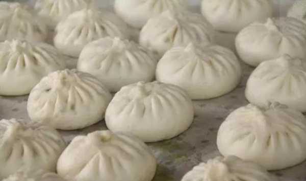 濮阳哪里有羊肉包子(范县十大名吃)-第3张图片-厨房小当家 濮阳哪里有羊肉包子(范县十大名吃)-第3张图片-厨房小当家