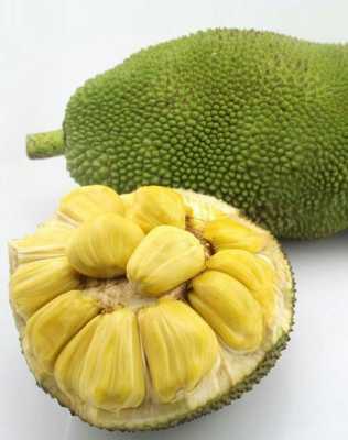 去马来一号工作怎么样(马来西亚一号菠萝蜜好吃吗)-第1张图片-厨房小当家 去马来一号工作怎么样(马来西亚一号菠萝蜜好吃吗)-第1张图片-厨房小当家