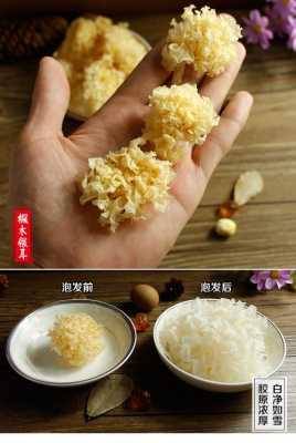 白木耳雪耳哪里产的好(白木耳雪耳哪里产的好吃)-第1张图片-厨房小当家 白木耳雪耳哪里产的好(白木耳雪耳哪里产的好吃)-第1张图片-厨房小当家