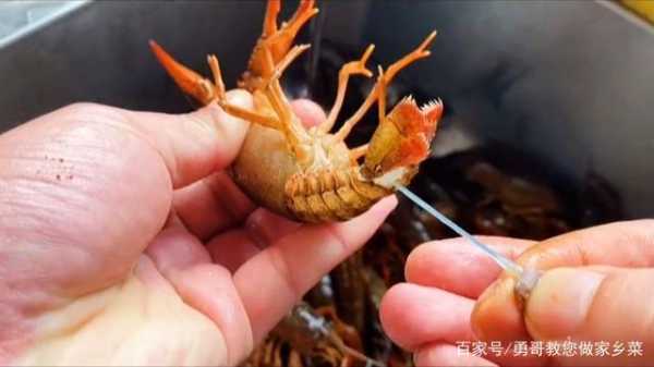 大龙虾的虾线在哪里(大龙虾虾线怎么弄)-第3张图片-厨房小当家 大龙虾的虾线在哪里(大龙虾虾线怎么弄)-第3张图片-厨房小当家
