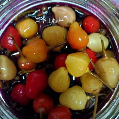 哪里卖泡七彩椒好吃（七彩椒怎么泡好吃又不辣）-第1张图片-厨房小当家