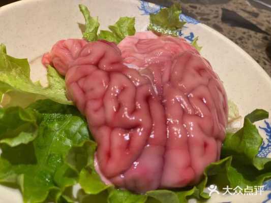 烤脑花的脑花哪里买(脑花的学名)-第3张图片-厨房小当家 烤脑花的脑花哪里买(脑花的学名)-第3张图片-厨房小当家