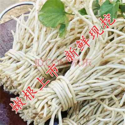 新鲜的鱼腥草哪里有卖（新鲜的鱼腥草哪里有卖的）-第1张图片-厨房小当家