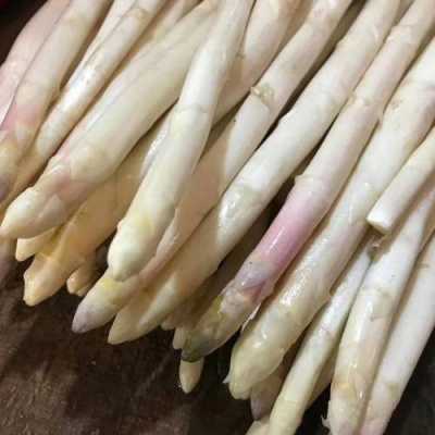 白芦笋哪里哪里最多(白芦笋哪里有卖)-第3张图片-厨房小当家 白芦笋哪里哪里最多(白芦笋哪里有卖)-第3张图片-厨房小当家