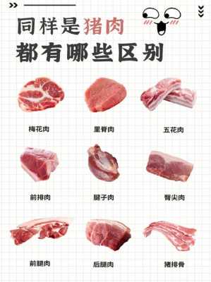 猪肉哪里瘦哪里肥(人身上哪个地方瘦肉多)-第2张图片-厨房小当家 猪肉哪里瘦哪里肥(人身上哪个地方瘦肉多)-第2张图片-厨房小当家