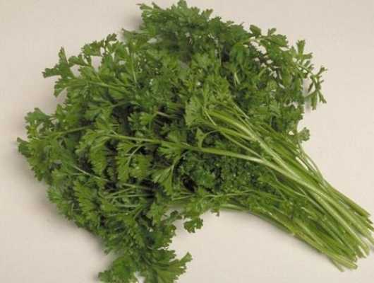 狗能不能吃芹菜,芹菜哪里能吃哪里不能吃的图片-第3张图片-厨房小当家 狗能不能吃芹菜,芹菜哪里能吃哪里不能吃的图片-第3张图片-厨房小当家