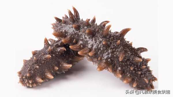 海参哪里能吃哪里不能吃（海参哪里不能吃图片）-第1张图片-厨房小当家