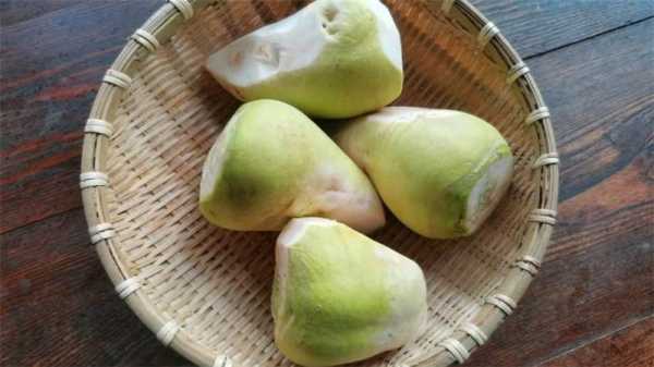 新鲜芥疙瘩叶子哪里有卖的,芥菜疙瘩哪里买-第2张图片-厨房小当家