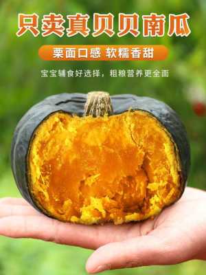 贝贝南瓜哪个地方产的最好,南瓜哪里好吃-第3张图片-厨房小当家 贝贝南瓜哪个地方产的最好,南瓜哪里好吃-第3张图片-厨房小当家