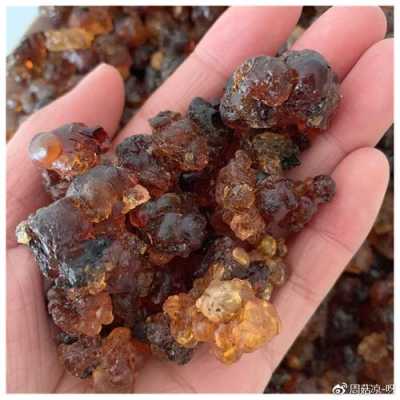 桃胶的地理分布,哪里盛产桃胶-第1张图片-厨房小当家