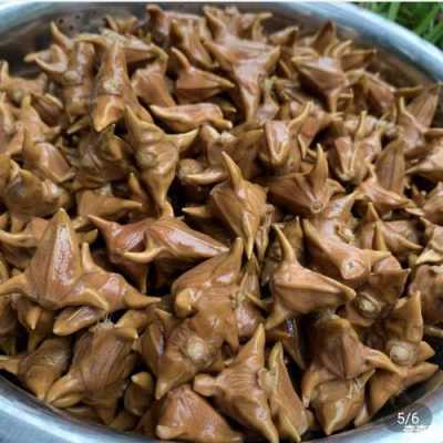 哪里菱角好吃(哪里菱角好吃又便宜)-第3张图片-厨房小当家 哪里菱角好吃(哪里菱角好吃又便宜)-第3张图片-厨房小当家