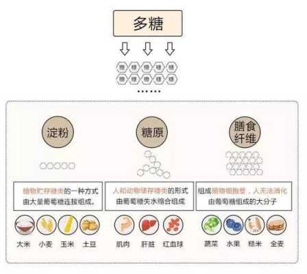 淀粉胖哪里(淀粉 胖)-第1张图片-厨房小当家 淀粉胖哪里(淀粉 胖)-第1张图片-厨房小当家