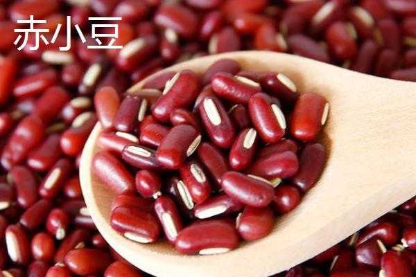 哪里红豆最多（世界上有什么豆多）-第1张图片-厨房小当家
