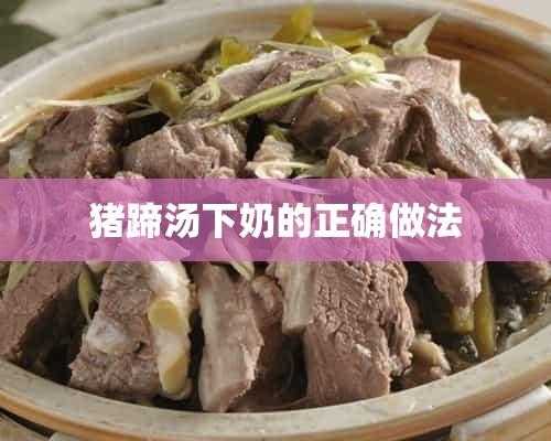 猪蹄哪里下奶(猪蹄下奶的最佳做法)-第2张图片-厨房小当家 猪蹄哪里下奶(猪蹄下奶的最佳做法)-第2张图片-厨房小当家