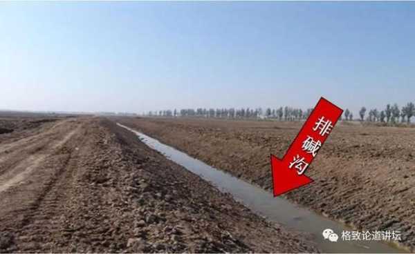 水泥地面上酸盐碱水凝固咋去除,碱水怎么弄-第1张图片-厨房小当家 水泥地面上酸盐碱水凝固咋去除,碱水怎么弄-第1张图片-厨房小当家