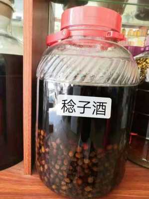 泡广柑酒的正确方法,广柑酒的酿制方法-第1张图片-厨房小当家 泡广柑酒的正确方法,广柑酒的酿制方法-第1张图片-厨房小当家
