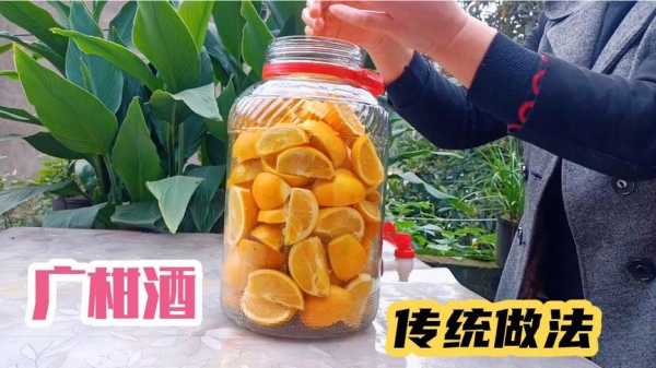 泡广柑酒的正确方法,广柑酒的酿制方法-第3张图片-厨房小当家 泡广柑酒的正确方法,广柑酒的酿制方法-第3张图片-厨房小当家