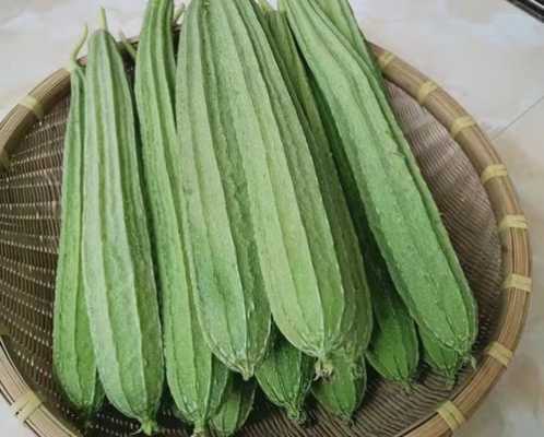 丝瓜哪里能吃(夏天有丝瓜吗)-第3张图片-厨房小当家 丝瓜哪里能吃(夏天有丝瓜吗)-第3张图片-厨房小当家