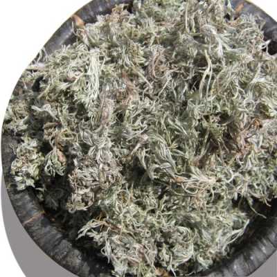 新鲜茵陈哪里最好,哪里的茵陈好-第3张图片-厨房小当家 新鲜茵陈哪里最好,哪里的茵陈好-第3张图片-厨房小当家