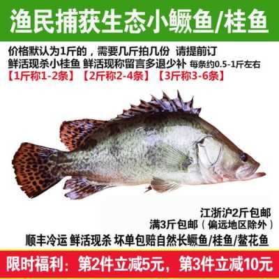 蹶鱼哪里(蹶鱼哪里有)-第2张图片-厨房小当家 蹶鱼哪里(蹶鱼哪里有)-第2张图片-厨房小当家