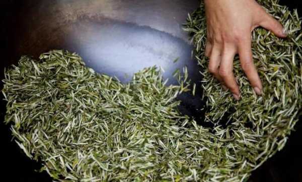 茶在美国难种植吗,在美国开个茶叶店怎么样呢-第3张图片-厨房小当家