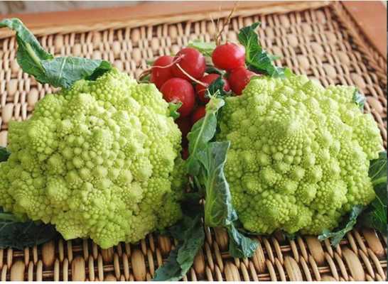 哪里花菜好(花椰菜什么时候传入我国,以及它原产哪里)-第3张图片-厨房小当家 哪里花菜好(花椰菜什么时候传入我国,以及它原产哪里)-第3张图片-厨房小当家