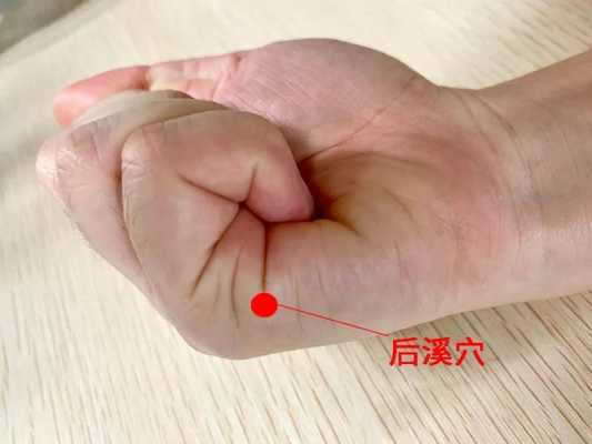 明目按哪里(明目的按摩方法)-第3张图片-厨房小当家 明目按哪里(明目的按摩方法)-第3张图片-厨房小当家