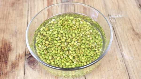 哪里绿豆好吃(哪里绿豆好吃又甜)-第1张图片-厨房小当家 哪里绿豆好吃(哪里绿豆好吃又甜)-第1张图片-厨房小当家