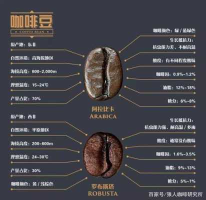 咖啡起源哪里(咖啡文化的起源)-第3张图片-厨房小当家 咖啡起源哪里(咖啡文化的起源)-第3张图片-厨房小当家