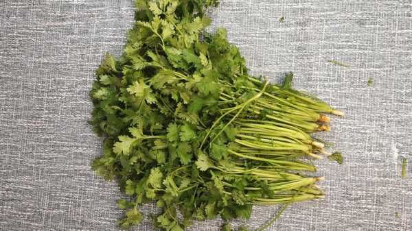 香菜花的食用方法,香菜吃什么部位-第3张图片-厨房小当家 香菜花的食用方法,香菜吃什么部位-第3张图片-厨房小当家